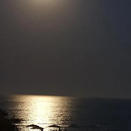 Sandy * לרנקה